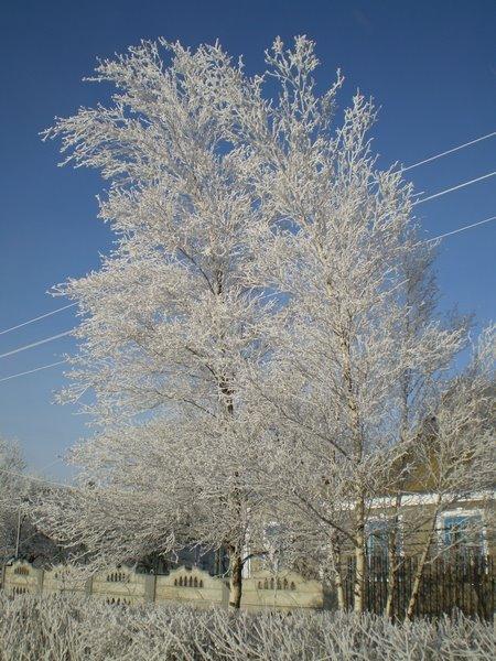 Новоолександрівка з panoramio.com - Новоолександрівка