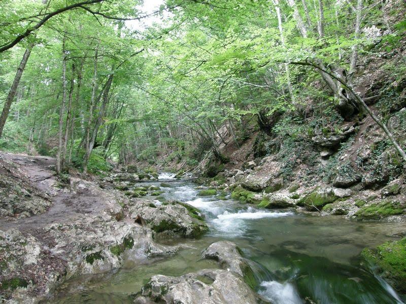Соколине з panoramio.com (ч.2) - Соколиное