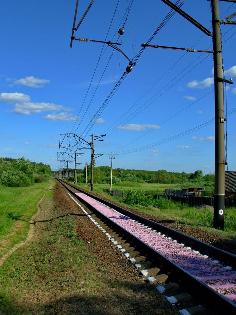 Мерефа з panoramio.com - Мерефа