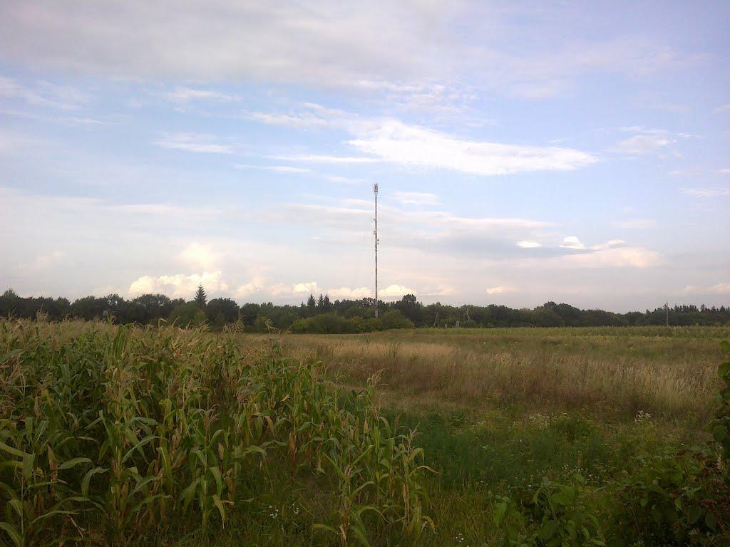 Кіцмань з panoramio.com - Кіцмань