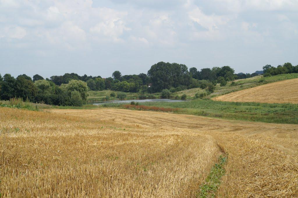 Стаївка з panoramio.com - Стаївка