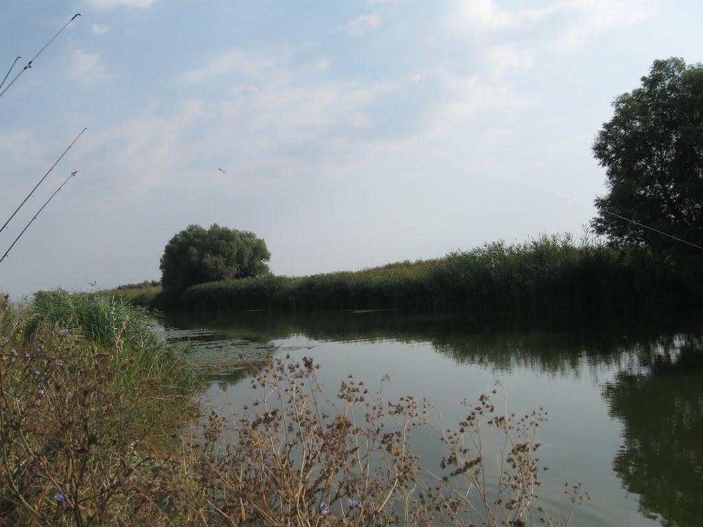 Новосільське з panoramio.com - Новосільське