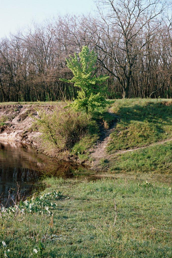 Могилів з panoramio.com - Могилев