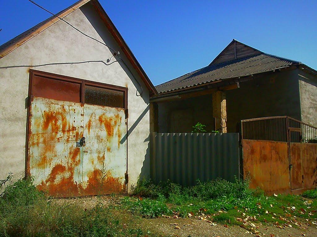 Красний Мак з panoramio.com - Красный Мак