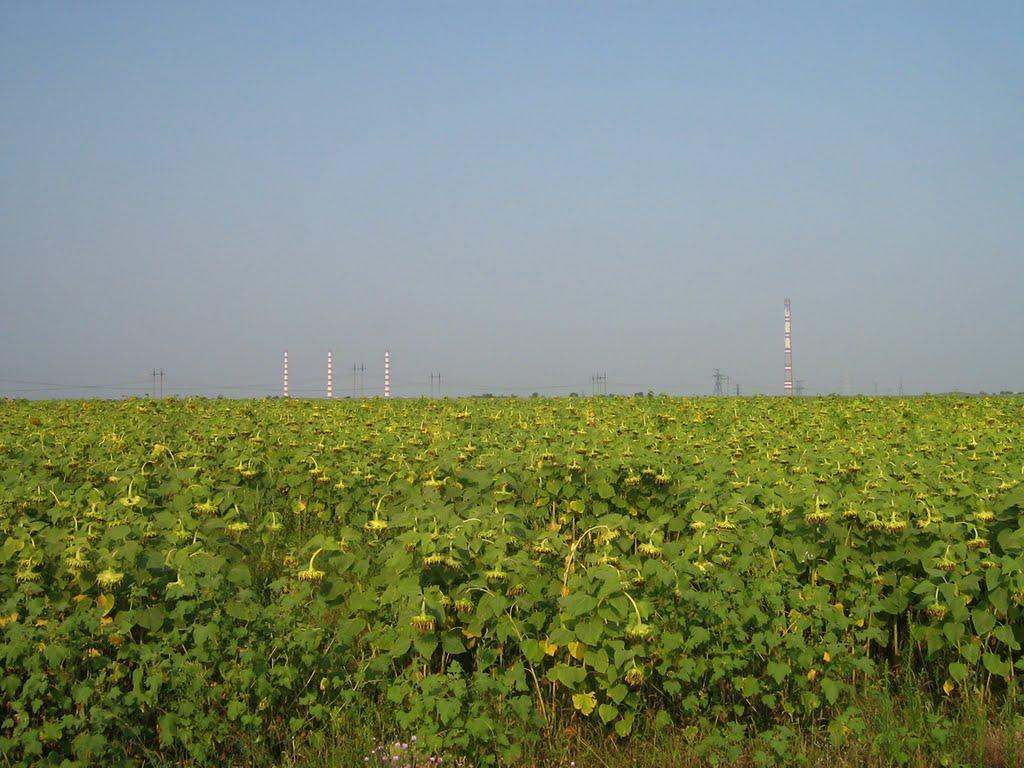 Градениці з panoramio.com - Gradenytsi