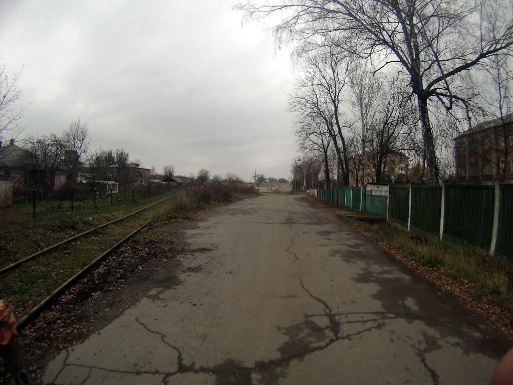 Новоград-Волинський з panoramio.com (ч.3) - Новоград-Волинський