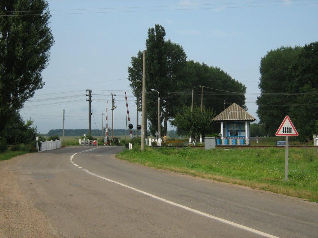 Струмок з panoramio.com - Струмок