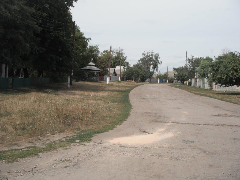 Писарівка з panoramio.com - Pysarivka