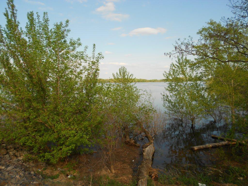 Пекарі з panoramio.com - Pekari