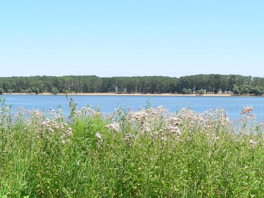 Рені з panoramio.com - Рени