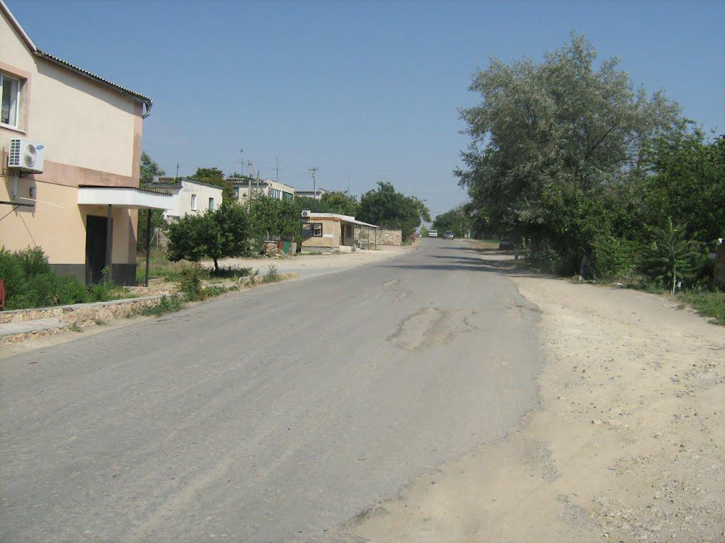 Чорноморське з panoramio.com - Чорноморское
