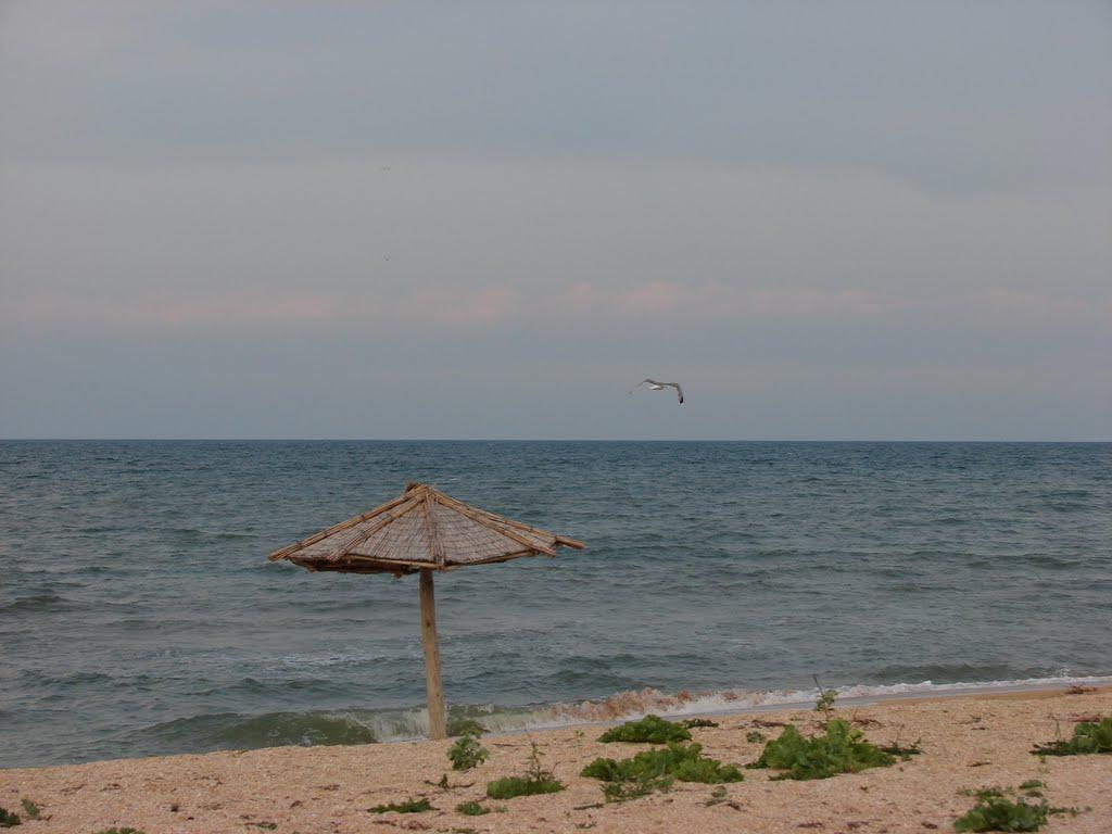 Стрілкове з panoramio.com (ч.2) - Стрелковое