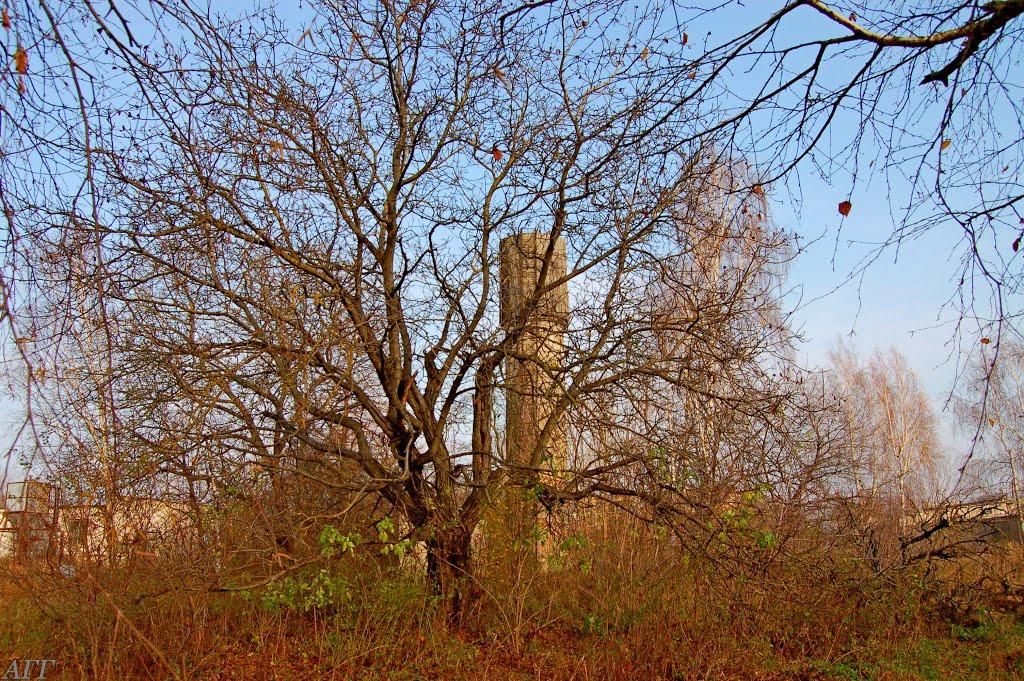 Великі Межирічі з panoramio.com - Великі Межирічі