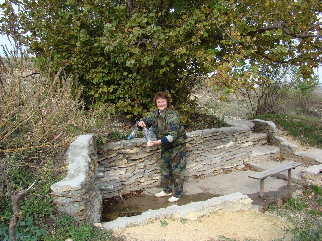 Яковлівка з panoramio.com - Яковлевка