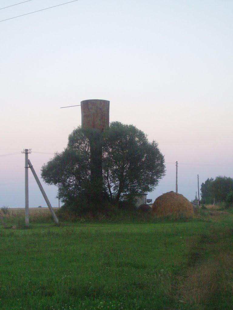 Віленька з panoramio.com - Віленька