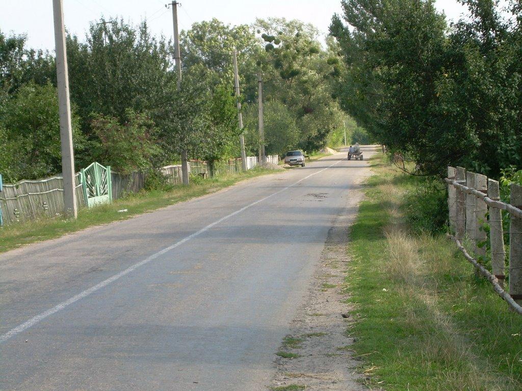 Бородані з panoramio.com - Бородані