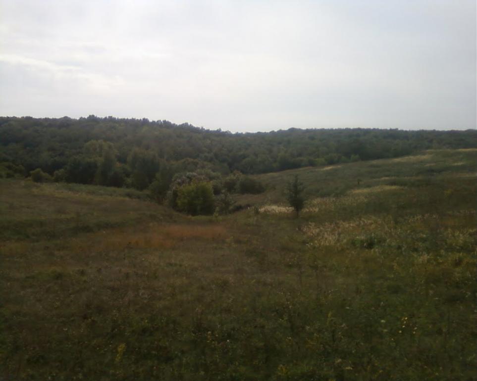 Синява з panoramio.com - Synyava