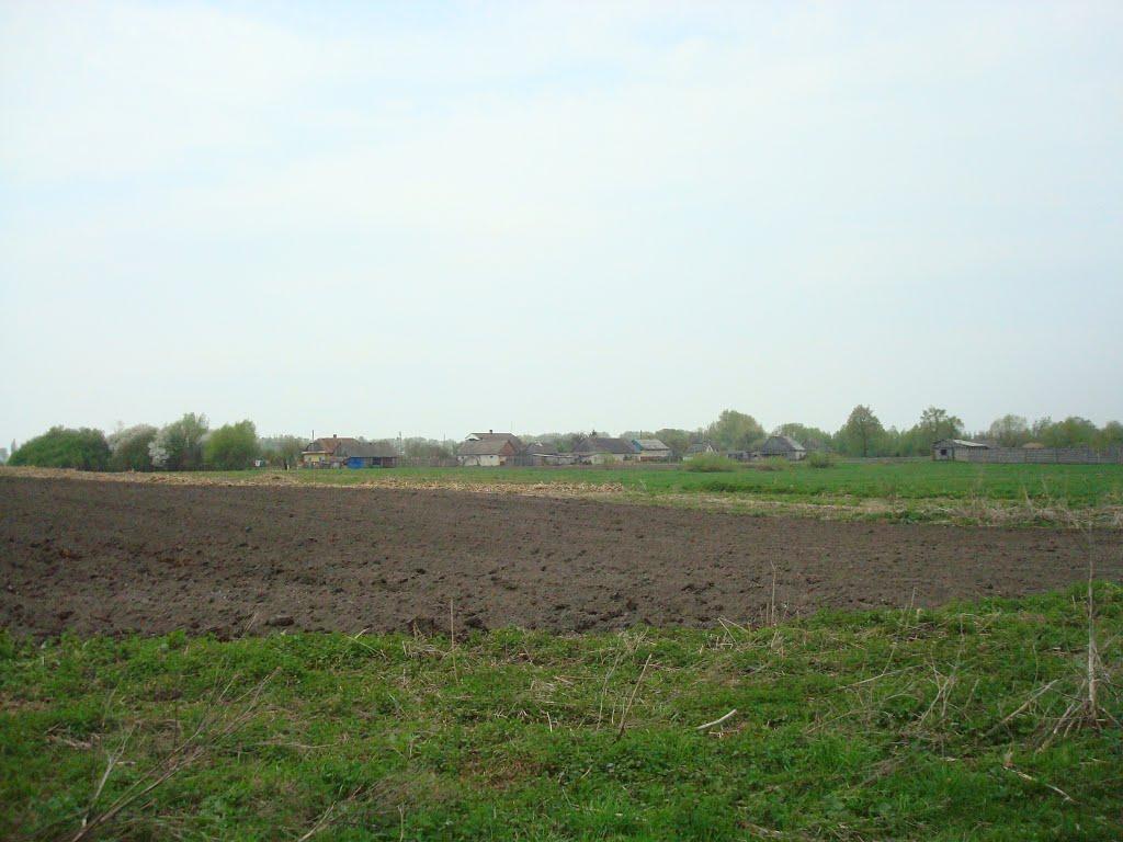 Дроздні з panoramio.com - Дроздни