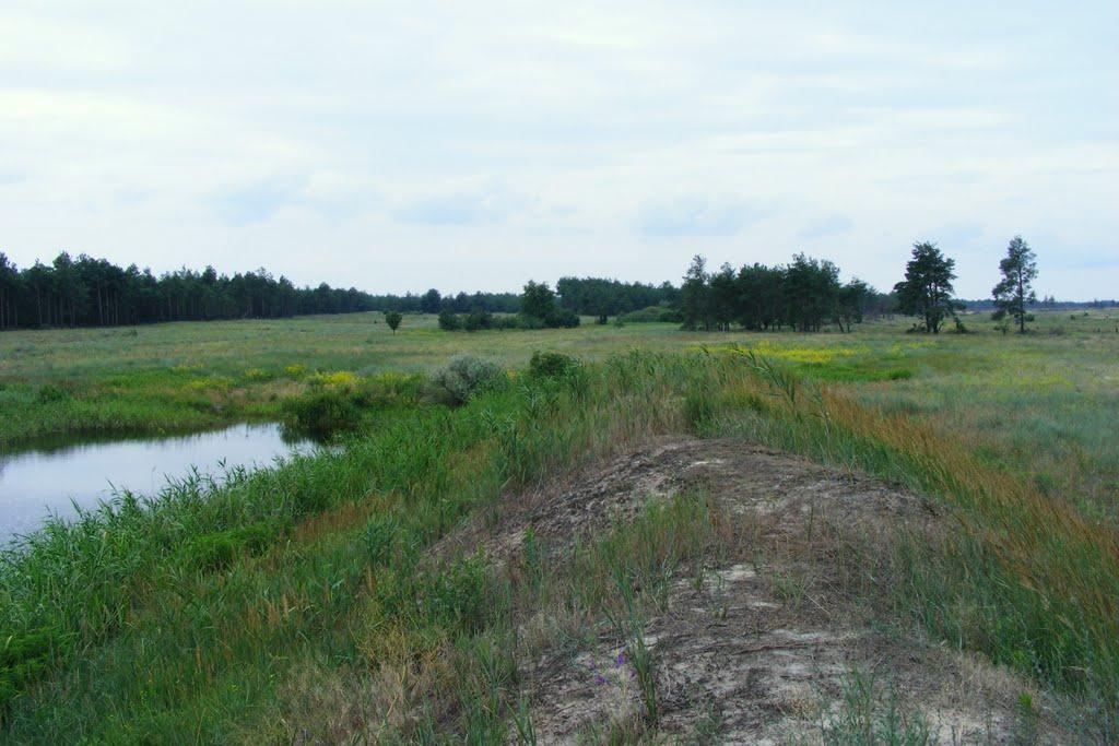 Забарине з panoramio.com - Забарино