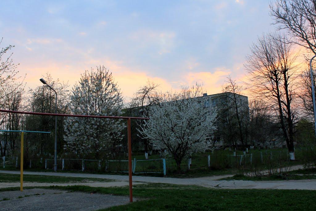 Ладижин з panoramio.com (ч.2) - Ладыжин