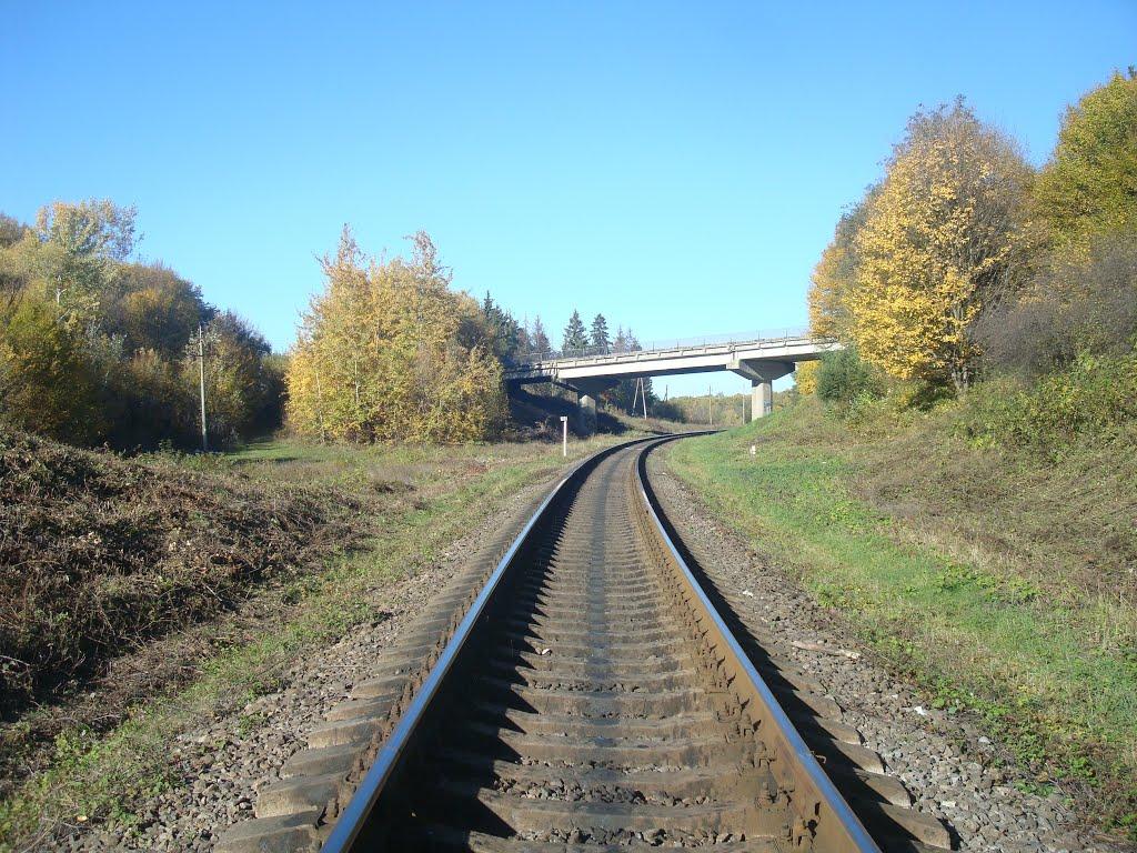 Красилів з panoramio.com - Красилів