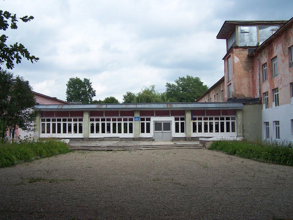 Стебник з panoramio.com - Стебник