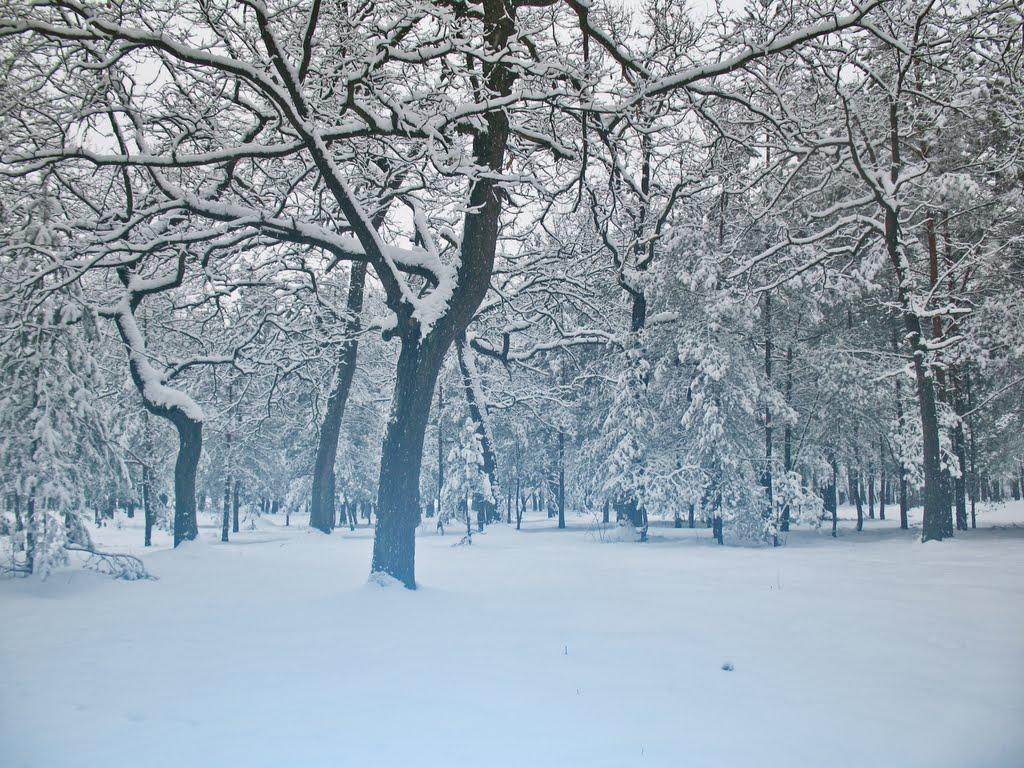 Ківерці з panoramio.com - Киверцы