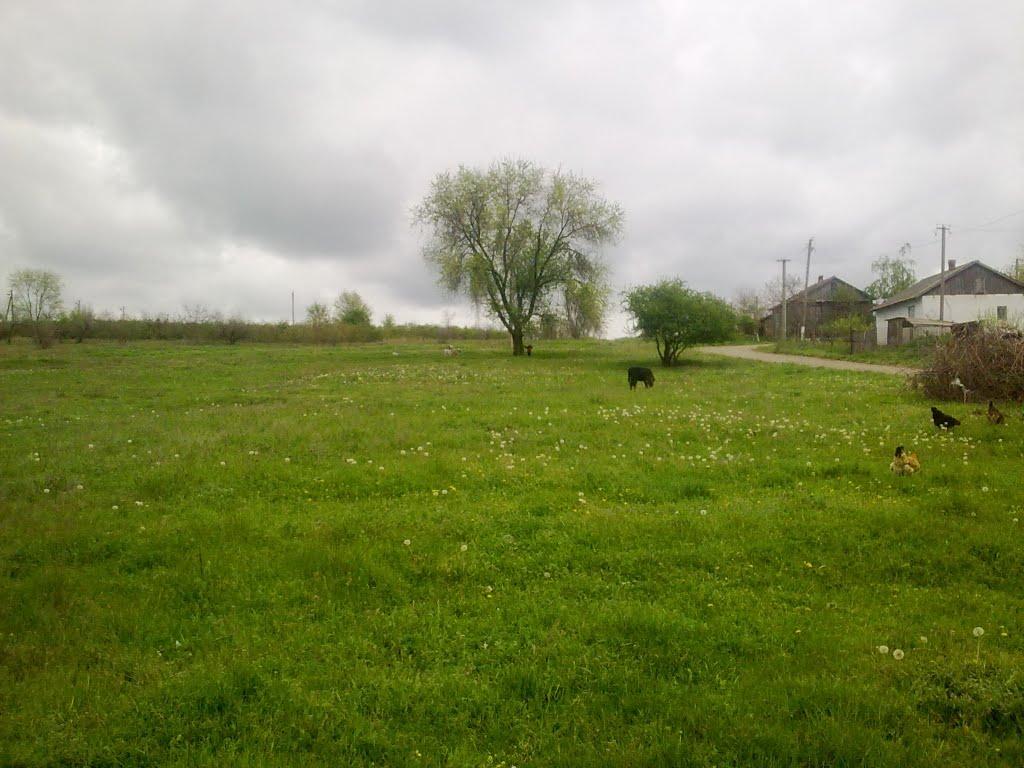 Долинка з panoramio.com - Долинка