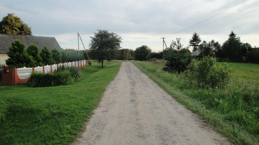Вишнівка з panoramio.com - Вишнівка