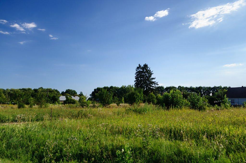 Розівка з panoramio.com (ч.2) - Розівка