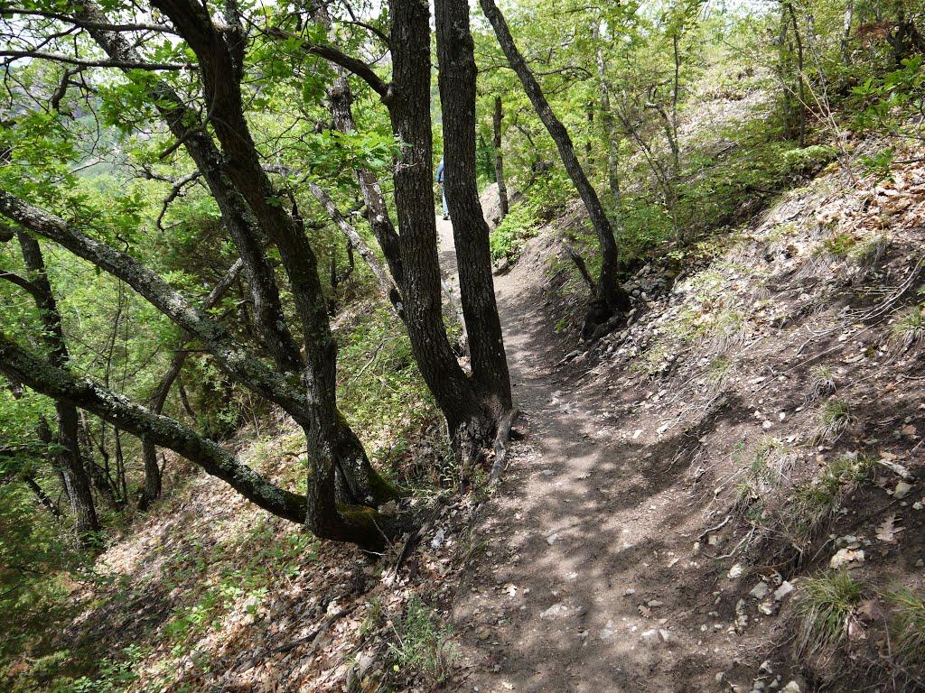 Краснокам'янка з panoramio.com - Краснокам'янка