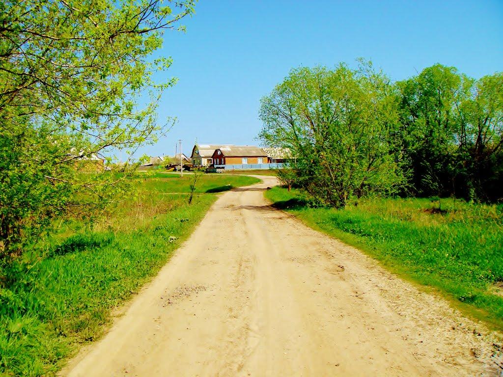 Гудзівка з panoramio.com - Гудзовка