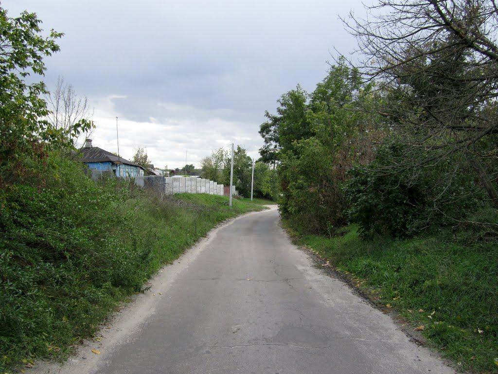 Безлюдівка з panoramio.com (ч.2) - Безлюдовка