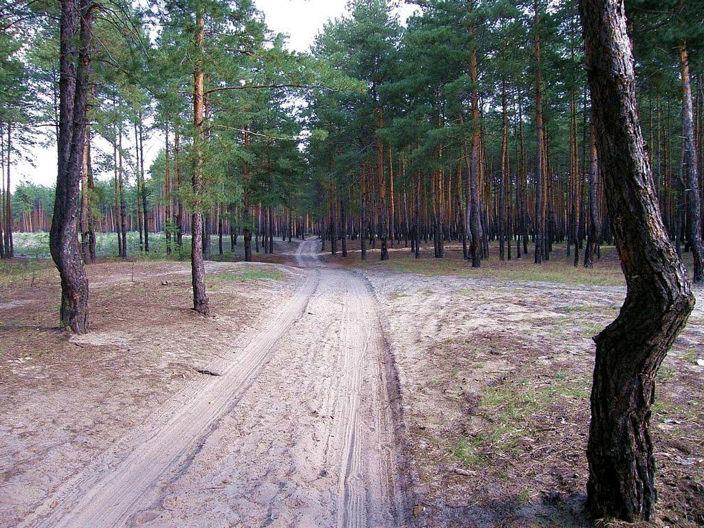 Щурове з panoramio.com - Щурово
