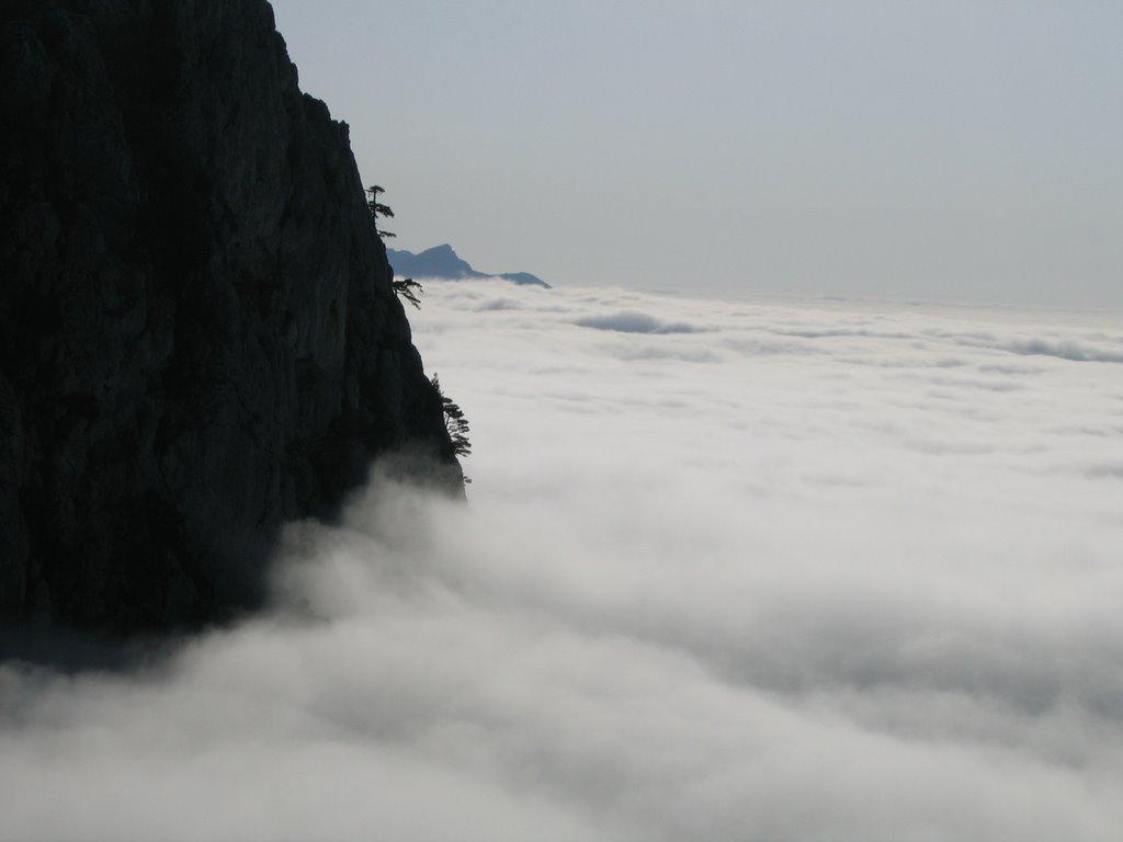 Санаторне з panoramio.com - Sanatorne