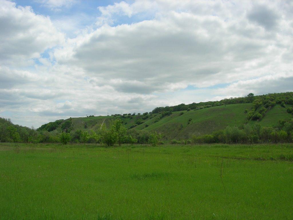 Донецьке з panoramio.com - Донецьке