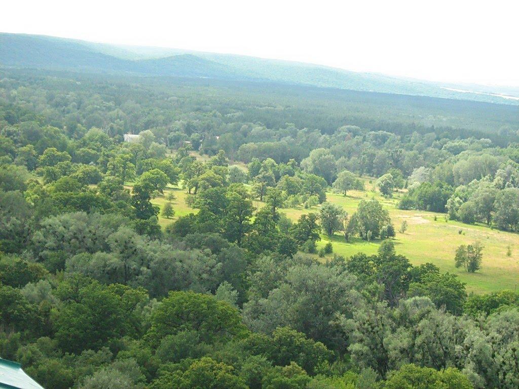 Святогірськ з panoramio.com - Святогорск