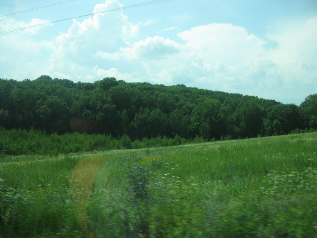 Григорівка з panoramio.com - Григорівка