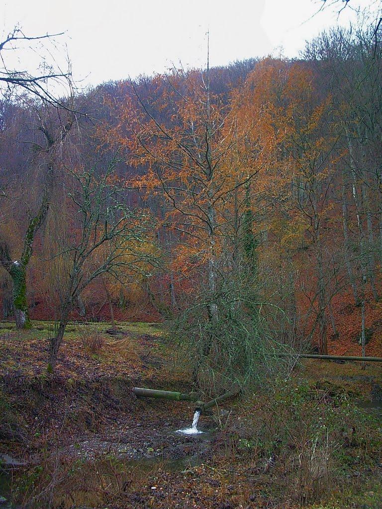 Розовий з panoramio.com (ч.2) - Розовий