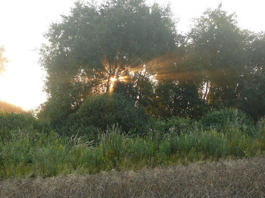 Розівка з panoramio.com (ч.2) - Розівка