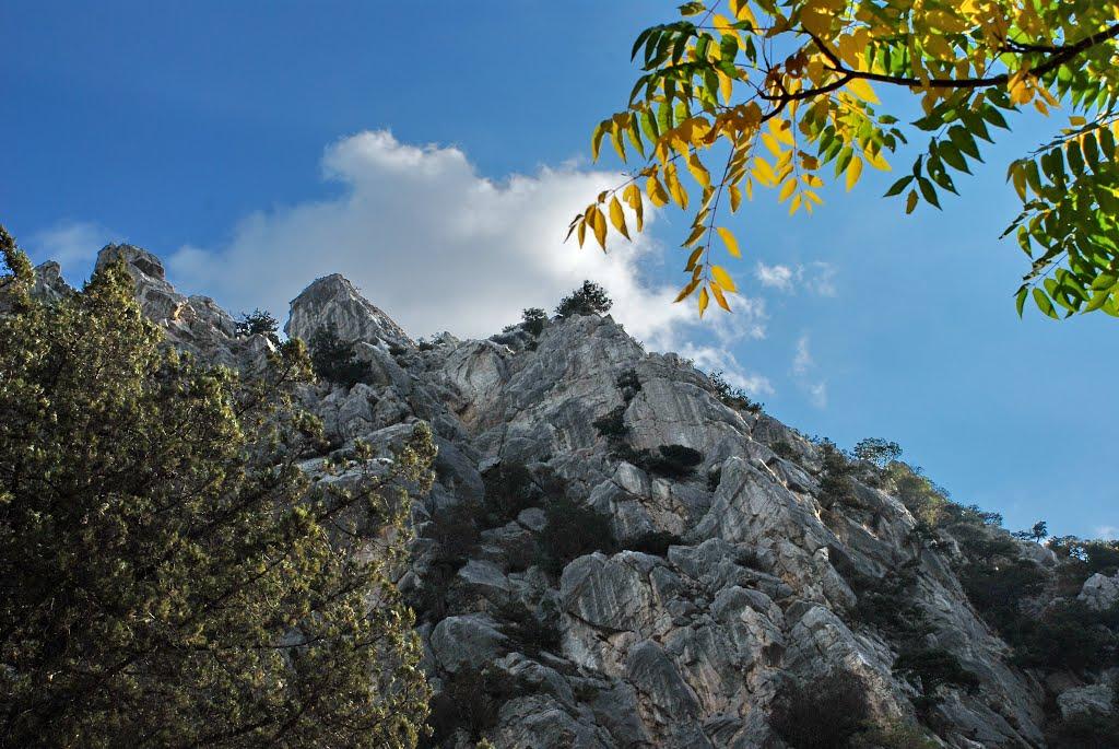 Голуба Затока з panoramio.com (ч.2) - Голубая Затока