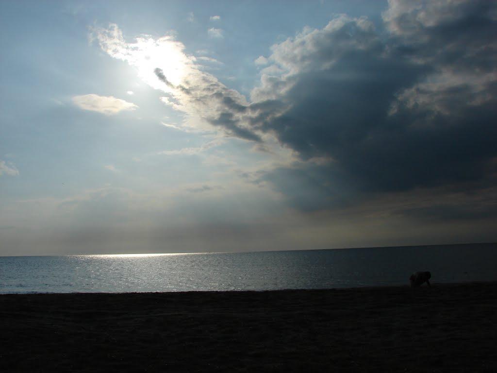 Щолкіне з panoramio.com - Щолкіне