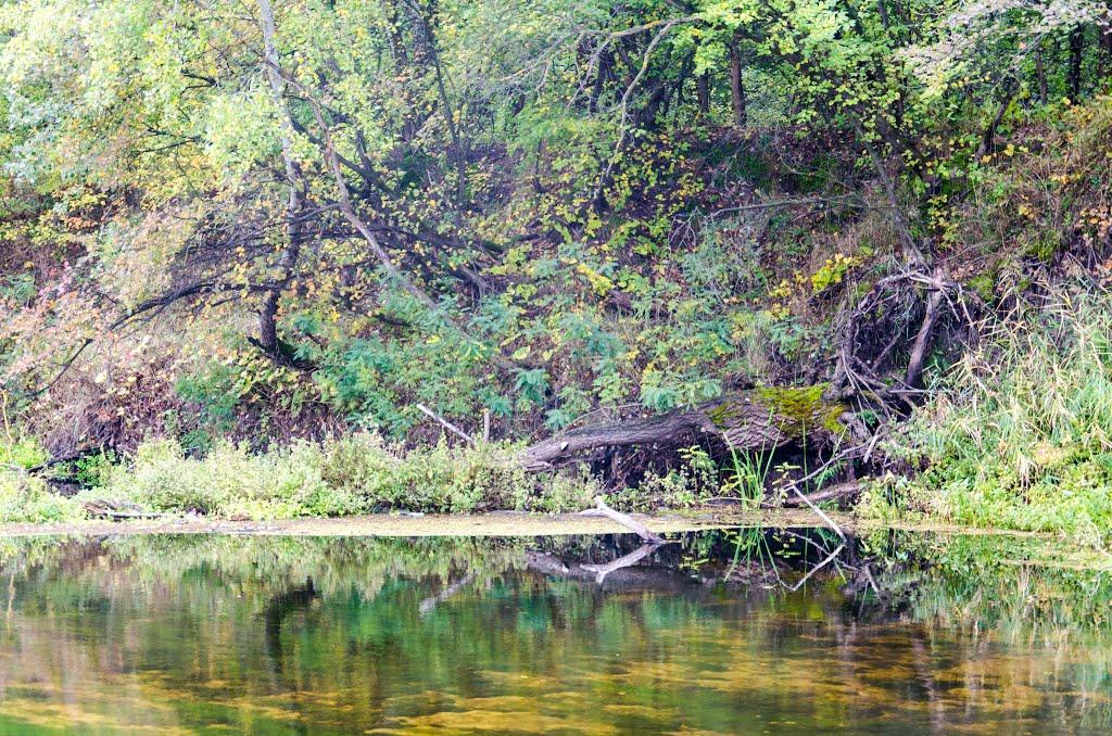 Могилів з panoramio.com - Могилев