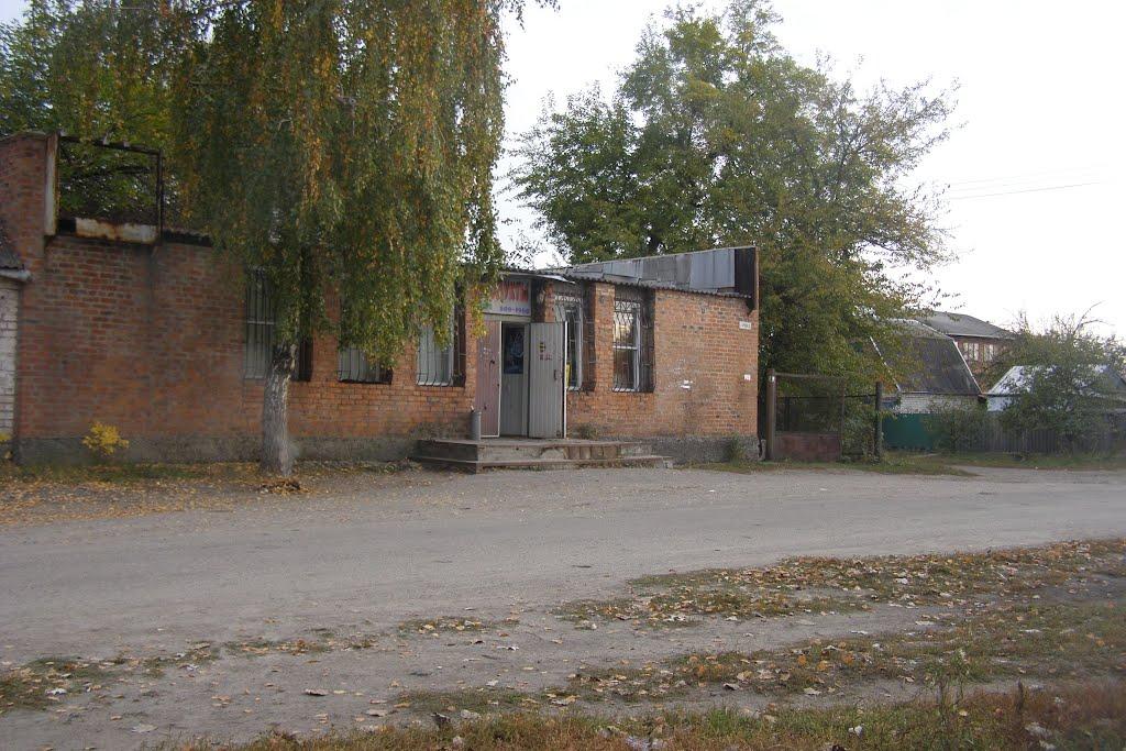 Новомосковськ з panoramio.com (ч.3) - Новомосковск