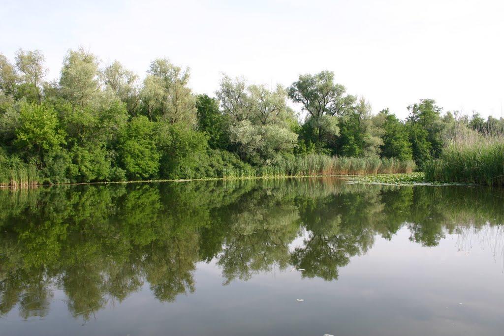 Кринки з panoramio.com - Кринки