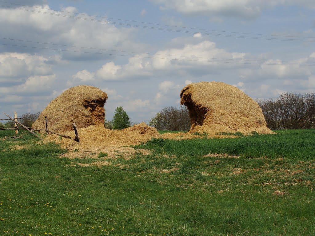 Сухини з panoramio.com - Сухини