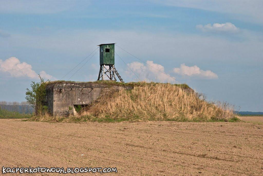 Шаварі з panoramio.com - Шаварі