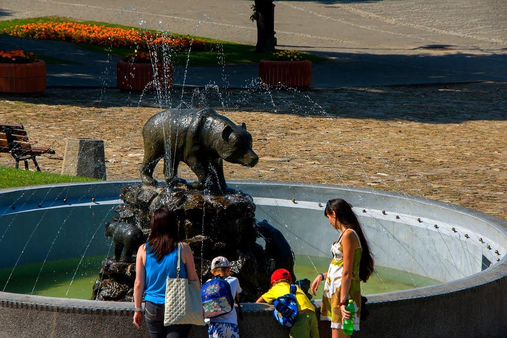 Нижанковичі з panoramio.com (ч.2) - Нижанковичи