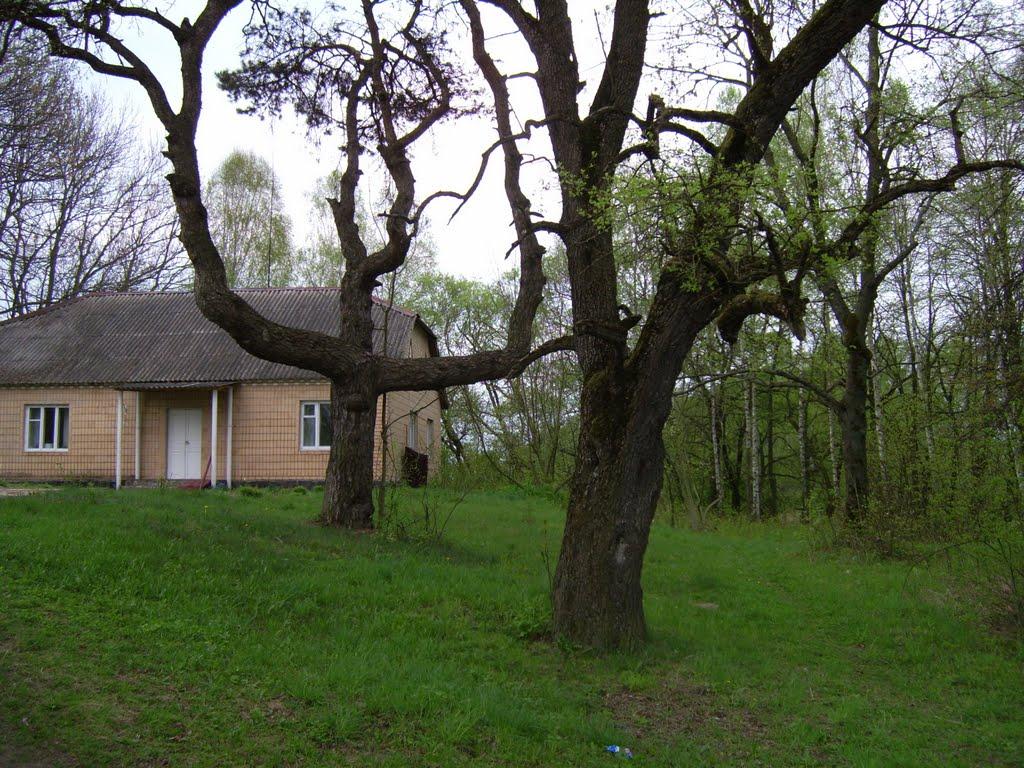 Немильня з panoramio.com - Немильня