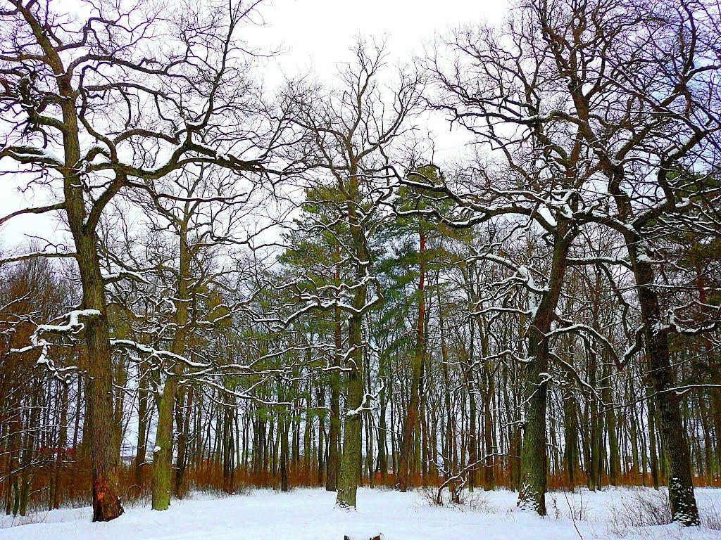 Лище з panoramio.com - Лище